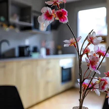 Hippodrome - Piscine - Parking Free - Metro Apartment