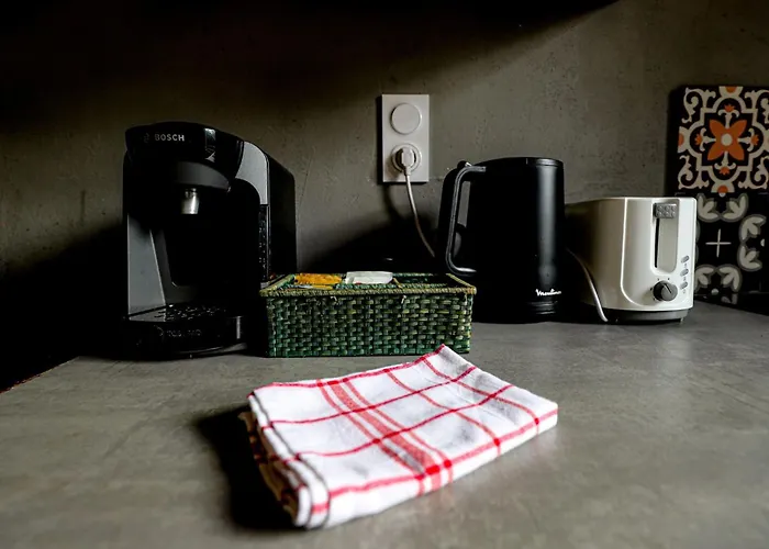 アパート Hippodrome - Piscine - Parking Free - Metro トゥールーズ